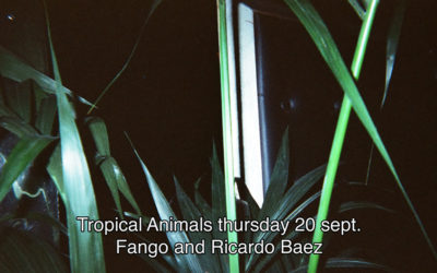 20th September 2018 : Tropical Animals with Fango and Ricardo Baez