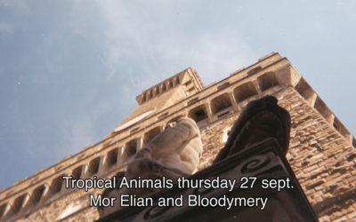 27th September 2018 : Tropical Animals with Mor Elian and Bloodymery