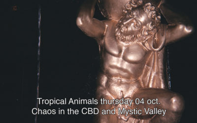 04th October 2018 : Tropical Animals with Chaos In the CBD and Mystic Valley