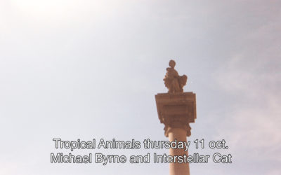 11th October 2018 : Tropical Animals with Michael Byrne and Interstellar Cat