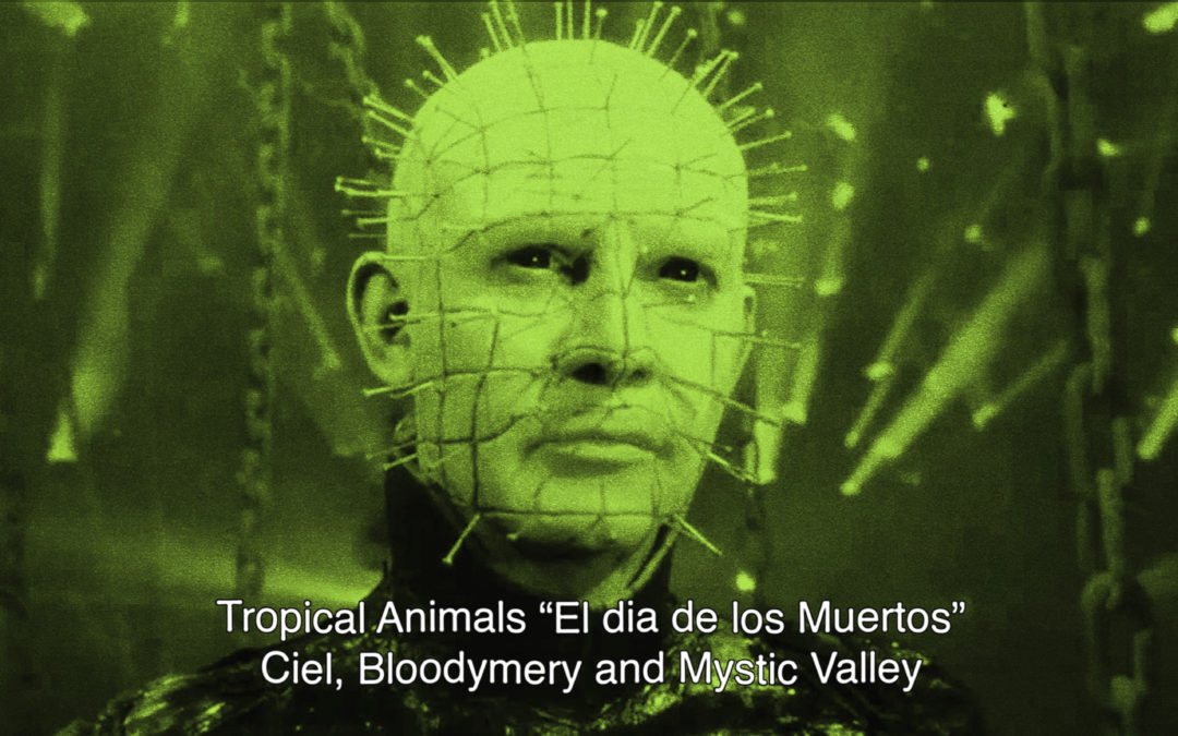 31th October 2018 : Tropical Animals “El dia de los Muertos” with Ciel, Bloodymery and Mystic Valley