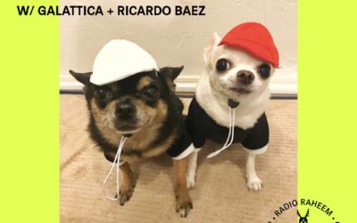 TROPICAL ANIMALS SHOW with RICARDO BAEZ + GALATTICA at RADIO RAHEEM