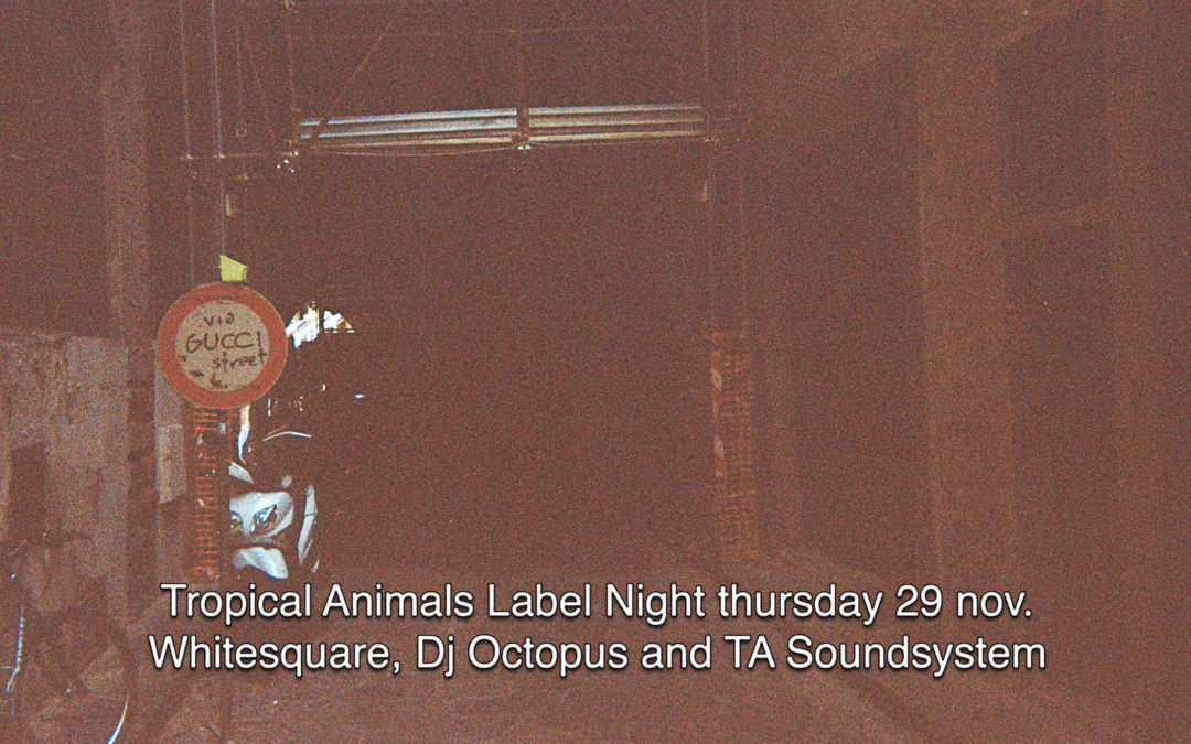 29th Nov 2018 : Tropical Animals Label Night with WHITESQUARE, DJ OCTOPUS and TA SOUNDSYSTEM