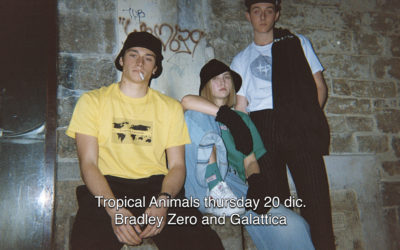 20th Dec 2018 : Tropical Animals with Bradley Zero and Galattica