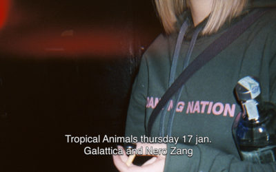 17th Jan 2019 : Tropical Animals with Galattica and Nero Zang