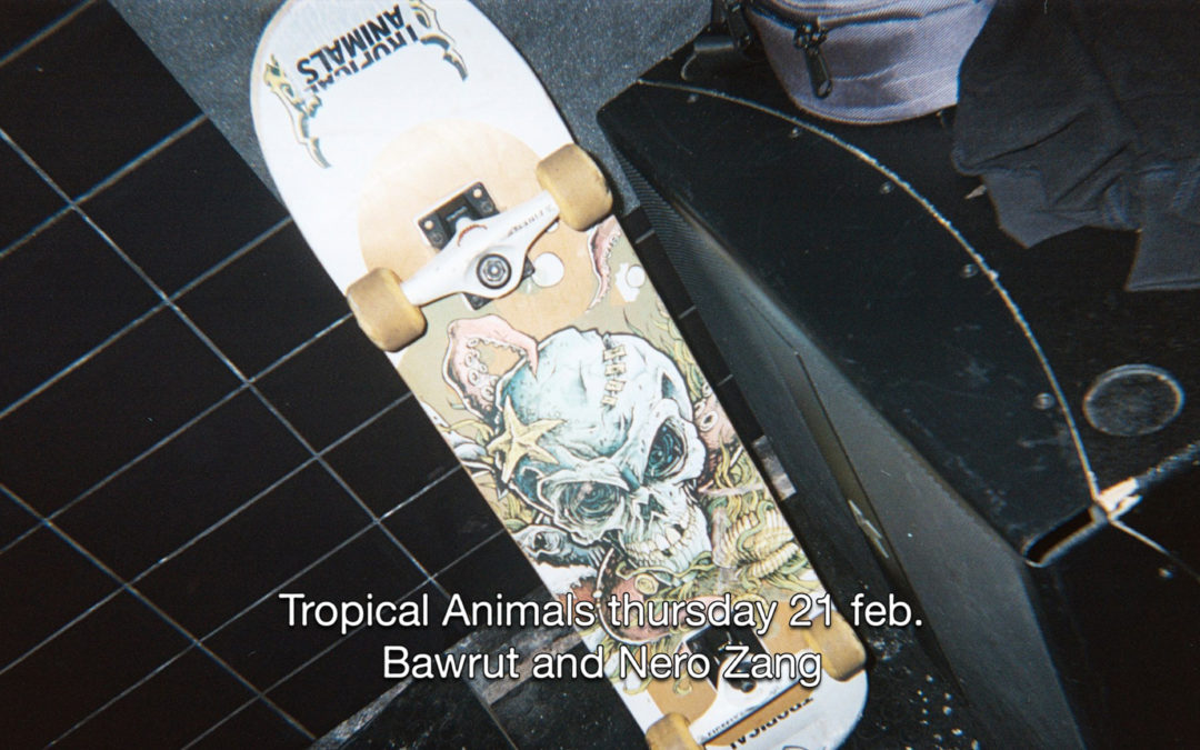 21th Feb 2019 : Tropical Animals with Bawrut and Nero Zang