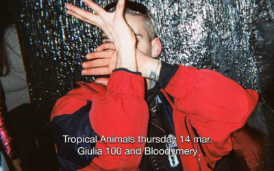 14th Mar 2019 : Tropical Animals pres. Giulia 100 and Bloodymery