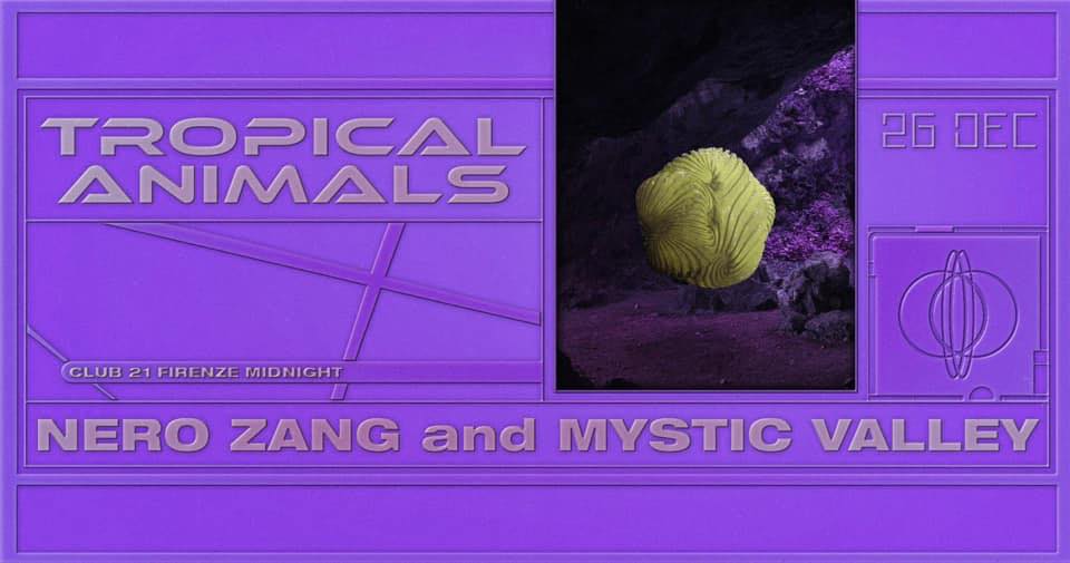 Tropical Animals – The day after Xmas – with Mystic Valley and Nero Zang